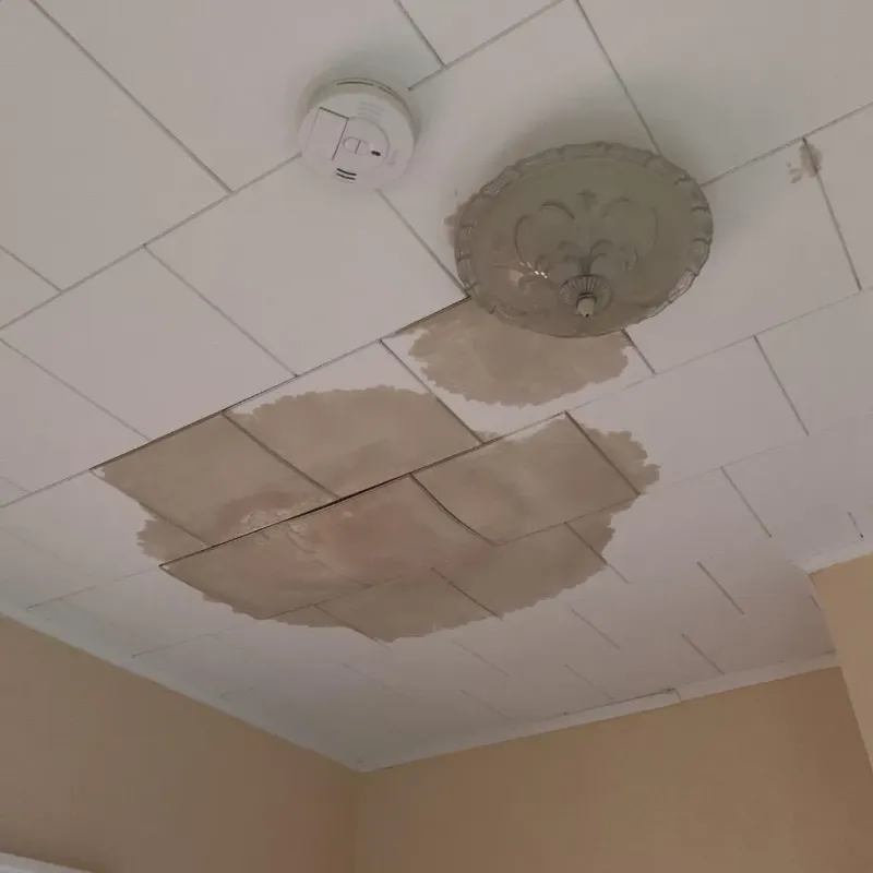 Ceiling Water Damage Repair in Newton, KS