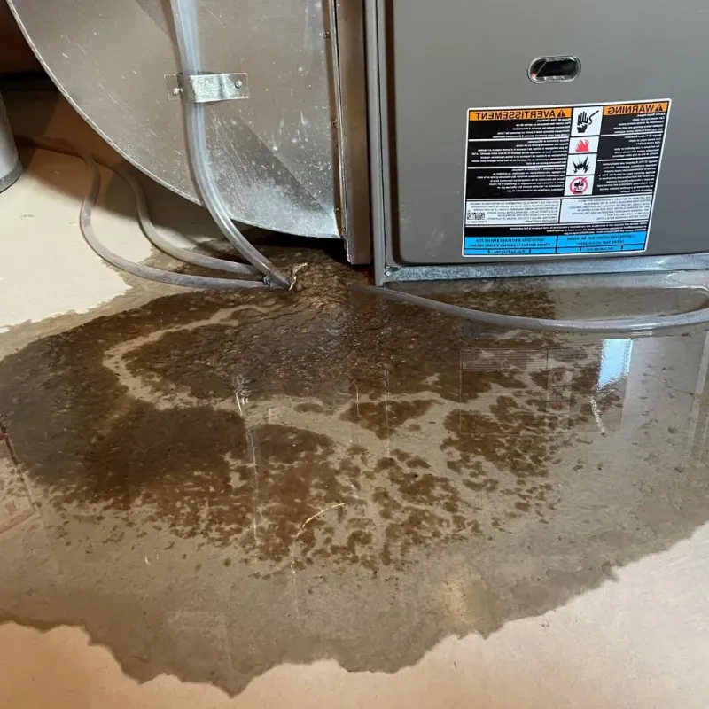 Pipe Burst and Leak Restoration in Newton, KS