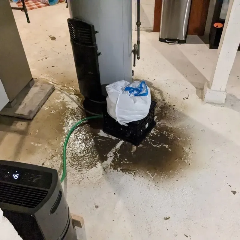 Sewage Backup Cleanup Service in Newton, KS